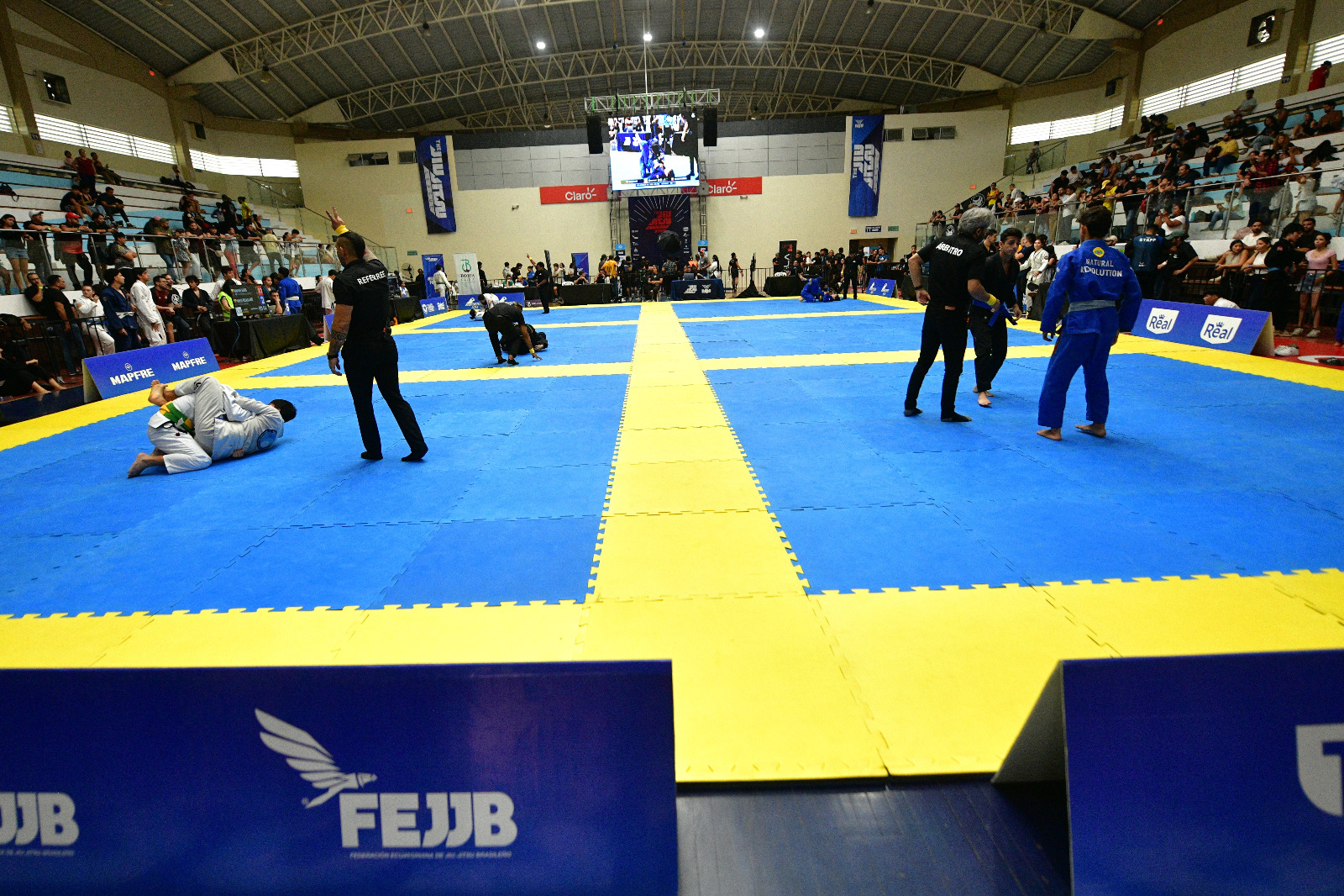 Torneo Ju Jitsu